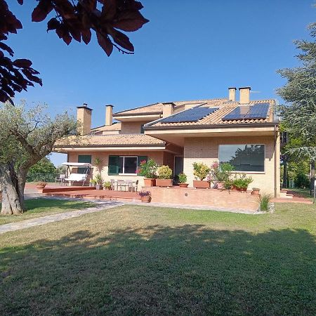Resort Orizzonti SantʼElpidio a Mare Kültér fotó